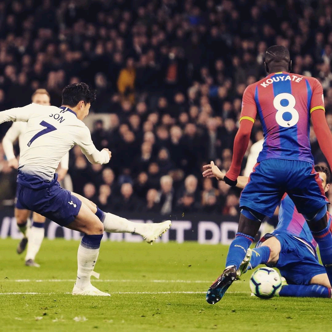 养研发团队 养研发团队